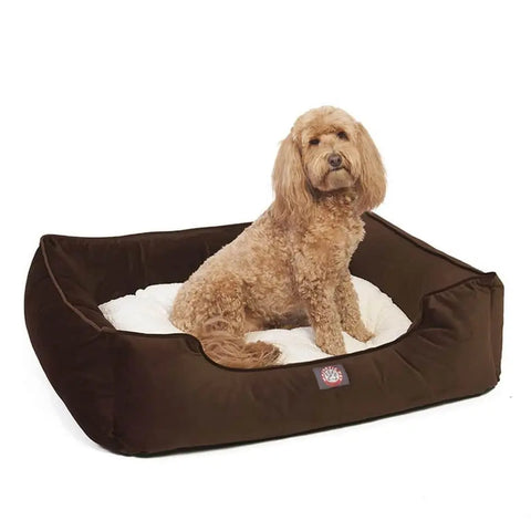 A light brown, curly-haired dog sits in the Majestic Pet Velvet Contemporary Lounge Bed, featuring a large rectangular shape and a soft white cushion, looking slightly to the side.