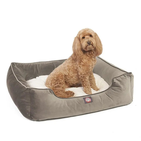 A curly-haired brown dog sits upright in the Majestic Pet Velvet Contemporary Lounge Bed—a soft, gray rectangular bed with a plush white cushion thats both luxurious and machine washable.