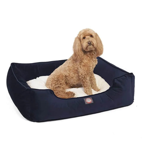 A curly-haired brown dog sits on a plush white cushion inside the Majestic Pet Velvet Contemporary Lounge Bed, featuring a navy blue rectangular frame.