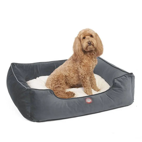 A curly-haired brown dog sits in the Majestic Pet Velvet Contemporary Lounge Bed, featuring a plush dark gray design with a soft white cushion, looking toward the camera.