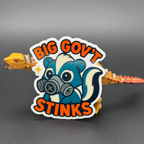 Political Statement Decorative Sticker – Durable Vinyl Decal | Made in USA Craft Embellishment American Lictor  Vinyl Stickers