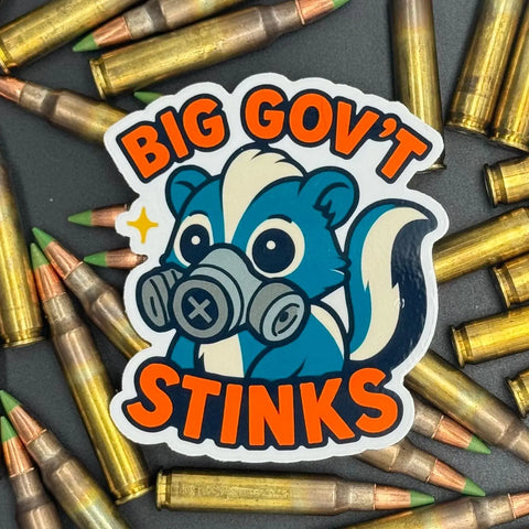 Political Statement Decorative Sticker – Durable Vinyl Decal | Made in USA Craft Embellishment American Lictor  Vinyl Stickers