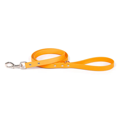 Premium 3/4 Inch by 5 Foot BioThane Dog Leash – Durable Weatherproof Material – Handcrafted in USA Auburn Leathercrafters  item