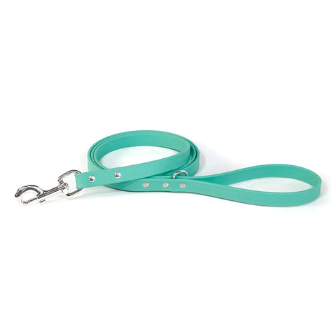 Premium 3/4 Inch by 5 Foot BioThane Dog Leash – Durable Weatherproof Material – Handcrafted in USA Auburn Leathercrafters  item