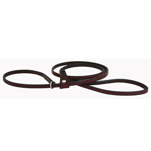 Premium Full Grain Latigo Leather Slip Lead – 1/4 Inch Kennel Dog Leash | Made in USA Auburn Leathercrafters  item
