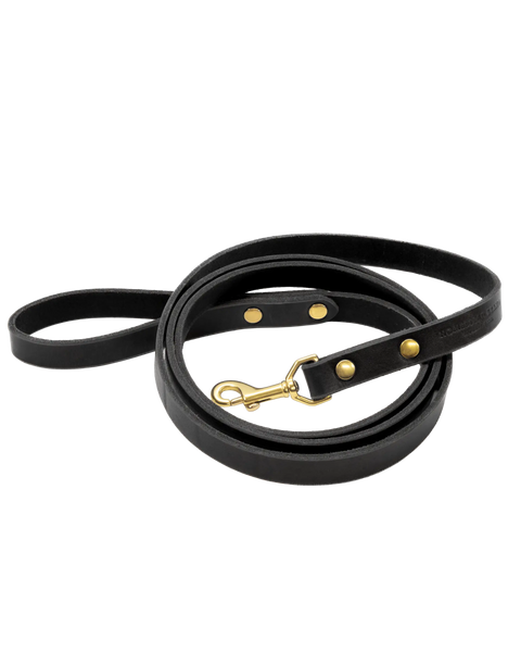Premium Full Grain Leather Dog Leash 5 Ft – Solid Brass Hardware – Durable Latigo Strap | Made in USA Homestead Brand  Pet Leash