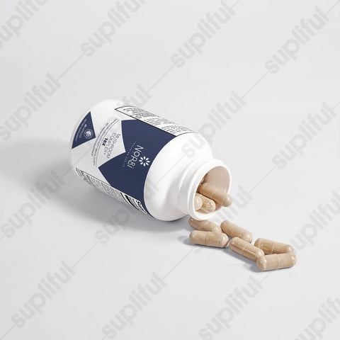 Premium Mushroom Complex 10X Capsules – Brain Support Supplement | Made in USA Norri Nutrition  Natural Extracts