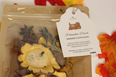 Forev'Herbs Pumpkin Patch Simmer Potpourri is the perfect autumn home fragrance, featuring dried pumpkin, cinnamon sticks, and star anise. The labeled bag sits against decorative autumn leaves in the background.