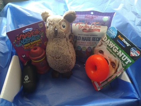 Surprise your pup with the Puppy Gift Box for puppies up to 45 lbs from Bulletproof Pet Products Inc—includes a stuffed owl toy, jerky treats, small red Kong, orange chew ring, and Magic Jerk Chewy treats on blue tissue paper.