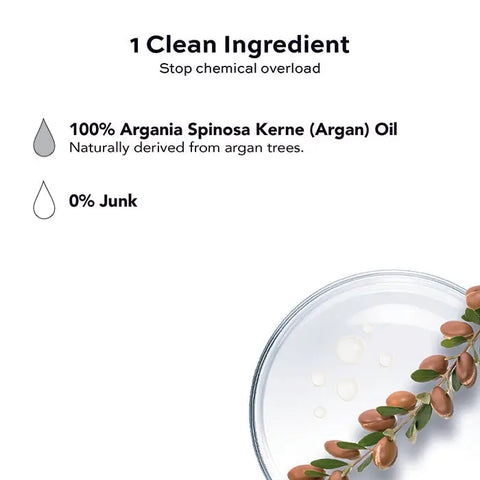 Minimalist graphic showing two drops: one labeled 100% Open Formula Argan Oil—pure, naturally derived from argan trees, moisturizes skin, and one labeled 0% Junk. Decorative argan branch and oil in a petri dish at the bottom right.