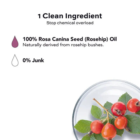 A diagram highlights that Open Formula Rosehip Oil contains just one clean ingredient: 100% natural rosehip oil, with 0% junk—perfect for your skincare. A clear dish with rosehips and leaves sits at the bottom right.