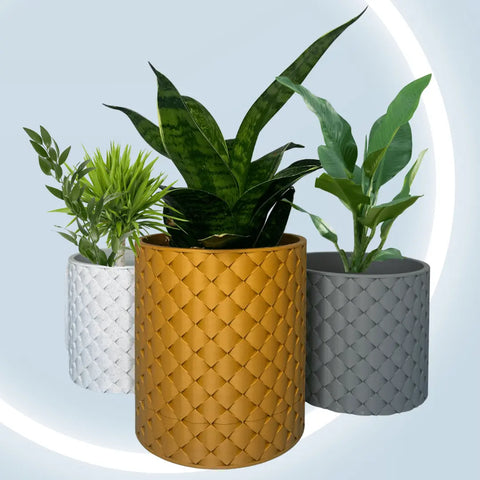 The Quilted Design Wall Planter by Chatelet Manufacturing features a premium quilted look, hidden drip tray, and mounting kit—ideal for stylish indoor gardening against light blue walls.