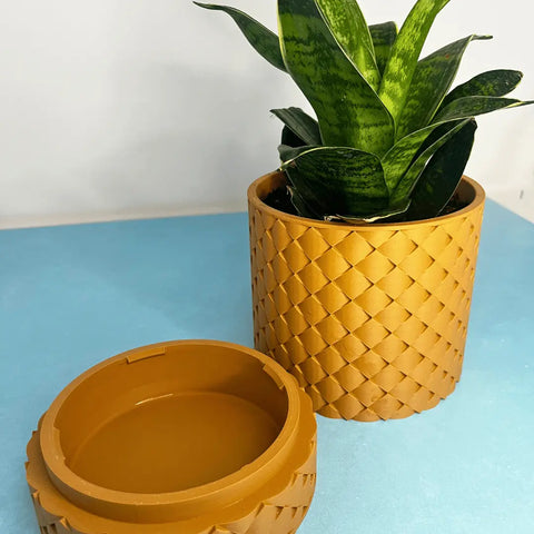 A green snake plant sits in Chatelet Manufacturings Quilted Design Wall Planter With Hidden Drip Tray—an orange-brown pot with matching removable saucer, placed on a blue surface. Includes mounting kit; ideal for indoor gardening enthusiasts.