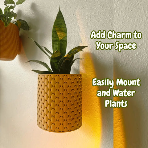 A snake plant sits in the Chatelet Manufacturing Quilted Design Wall Planter With Hidden Drip Tray, shown on a white wall lit by sunlight. Text: Add Charm to Your Space and Easily Mount and Water Plants. Another plant appears partially on the left.