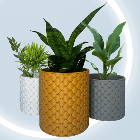 Quilted Wall Mount Planter With Hidden Drip Tray – Indoor Garden Decor | Made in USA Chatelet Manufacturing 