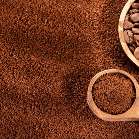 RAINFOREST | ESPRESSO BLEND Wildflower Coffee Company  Coffee