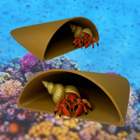 A hermit crab with a spiral shell is tucked inside a REEFSHAPE Pocket Cave by Chatelet Manufacturing, while another minimalist shelter rests above—both perfect for aquariums or terrariums.
