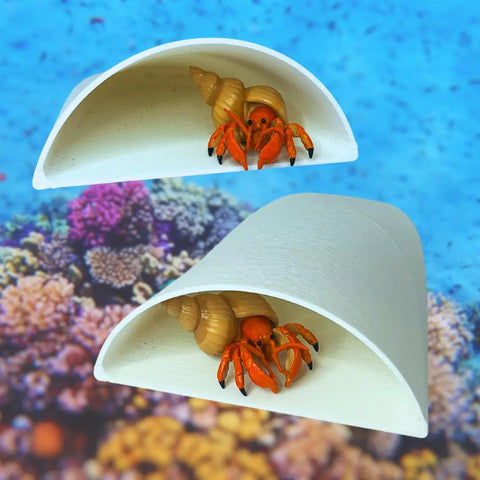 Two orange hermit crabs in tan spiral shells rest inside Chatelet Manufacturings REEFSHAPE minimalist terrarium pocket caves, with a coral reef backdrop.