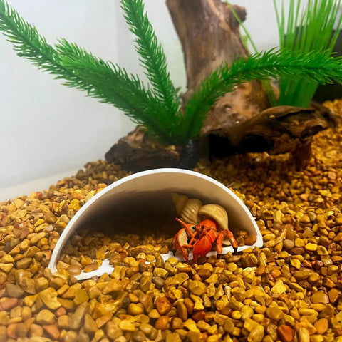 A small red hermit crab with a tan shell rests in the REEFSHAPE Aquarium or Terrarium Pocket Cave by Chatelet Manufacturing, placed on brown gravel among artificial plants and driftwood in a cozy reptile habitat.