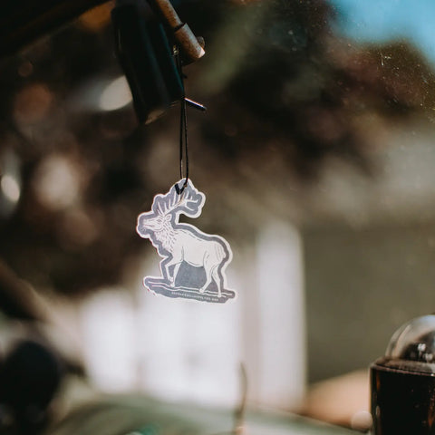 Rainier National Park Air Freshener Good & Well Supply Co.  Vehicle Air Fresheners