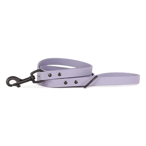 Range Day Leash Auburn Leathercrafters  item