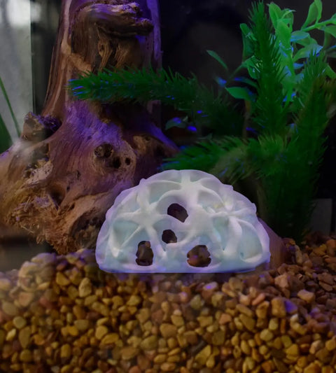 The Chatelet REEFSHAPE Dome Aquarium Hideout by Chatelet Manufacturing is a white cave-shaped reef decor, ideal for fish and shrimp. It adds style to your tank and provides a safe, natural-looking hideaway. Made in the USA.