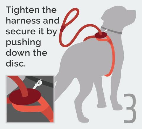 Reflective Combination Harness / Leash Auburn Leathercrafters  item