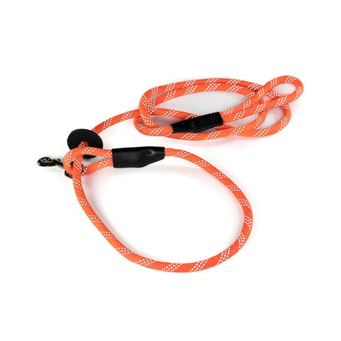 Reflective Combination Pet Harness Leash – 8.5 Ft Double-Braided Nylon Rope | Made in USA for Safety and Control Auburn Leathercrafters  item
