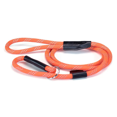Reflective Nylon Rope Slip Lead Leash – Durable Double-Braided Safety Leash with 3 Rows Reflective Material | Made in USA Auburn Leathercrafters  item