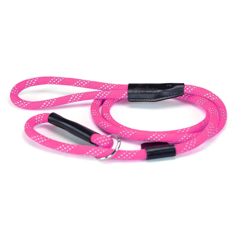 Reflective Nylon Rope Slip Lead Leash – Durable Double-Braided Safety Leash with 3 Rows Reflective Material | Made in USA Auburn Leathercrafters  item