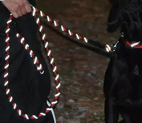 Reflective Rope Leash - Snap Auburn Leathercrafters  item