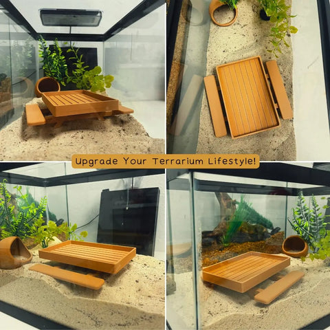 A four-panel image shows a terrarium being assembled with the REEFSHAPE Terrarium Picnic Table by Chatelet Manufacturing. Sand, plants, and the platform accessory for bearded dragons and lizards are arranged inside. Text reads: “Upgrade Your Terrarium Lifestyle!”.