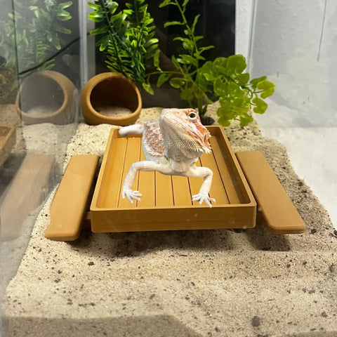 A bearded dragon lounges on the REEFSHAPE Terrarium Picnic Table by Chatelet Manufacturing, surrounded by sand, brown shelters, and green plants in its terrarium.