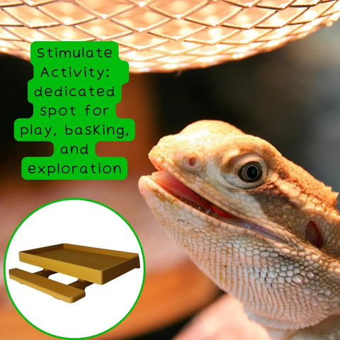 A bearded dragon relaxes under a heat lamp, mouth ajar. Text: Encourage Activity—dedicated spot for play, basking & exploration. Inset shows Chatelet Manufacturing’s REEFSHAPE Terrarium Picnic Table, an ideal enrichment accessory for reptiles.