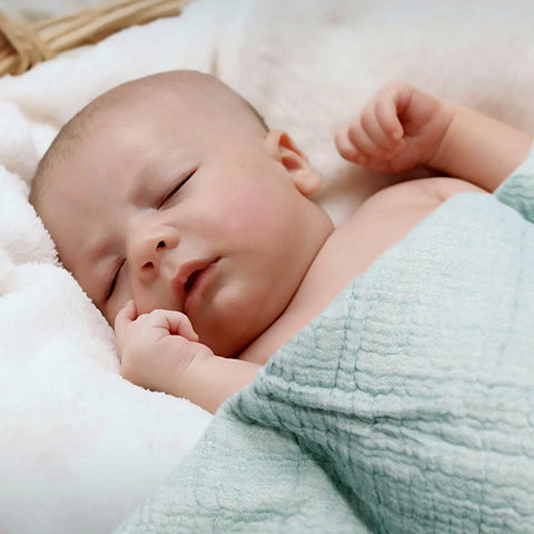 Reversible Muslin 100% Cotton Baby Blanket – Lightweight Breathable Swaddle Wrap | Made in USA Carolina Cottons  Throw Blankets