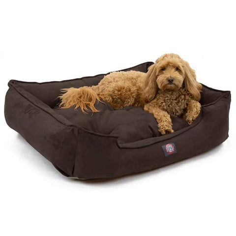 A fluffy, light brown dog relaxes on the Majestic Pet Suede Contemporary Lounge Bed, a large, dark brown bed that combines comfort and modern style against a white background.