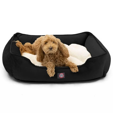 A small, curly-haired brown dog relaxes on the Majestic Pet Suede Contemporary Lounge Bed with a soft white cushion, looking toward the camera.