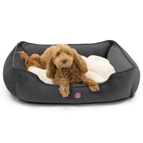 A small, curly-haired brown dog is lying in the Majestic Pet Suede Contemporary Lounge Bed, a plush rectangular gray bed with a soft white cushion, looking forward.