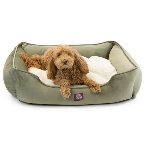 A small, curly-haired brown dog relaxes in the Majestic Pet Suede Contemporary Lounge Bed, featuring plush white cushioning and a cozy green design for stylish comfort.