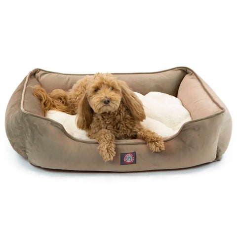 A small, fluffy brown dog rests comfortably in the Majestic Pet Suede Contemporary Lounge Bed, featuring soft beige and white fabric, while looking toward the camera.