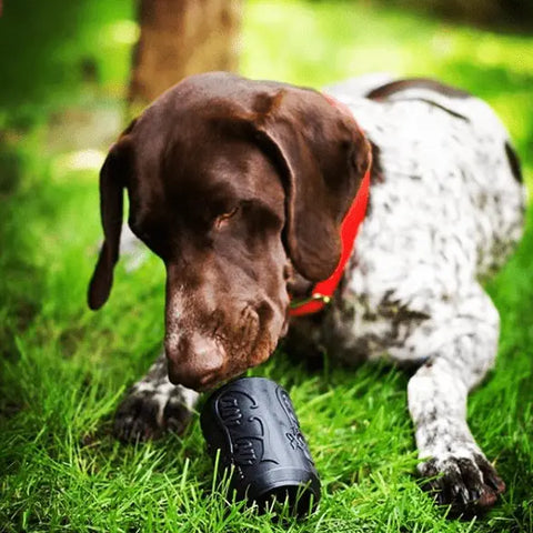 A brown and white dog with a red collar lies on green grass, chewing a SodaPup SP Magnum Can Toy EDispenser—an ultra durable black rubber chew toy and treat dispenser—outdoors amidst trees and a blurred background.