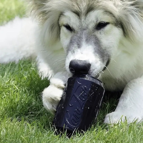 A large, fluffy dog relaxes on green grass with the SodaPup SP Magnum Can Toy EDispenser Ultra Durable Rubber Chew Toy & Treat Dispenser (Black) in its mouth, looking playful outdoors.