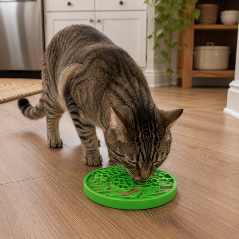 Water Nylon Enrichment Dog Snacking Toy – Durable Interactive Coin | Made in USA SodaPup  ECOIN
