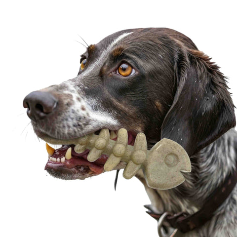 SodaPup Fish Bone Durable Nylon Dog Chew Toy – Tough Power Chewer Toy | Made in USA SodaPup  Nylon Dog Toys