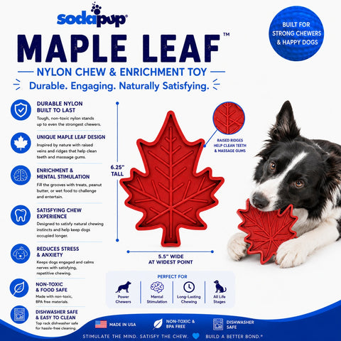 Canadian Maple Leaf Nylon Durable Dog Chew Toy – Tough Power Chewer | Made in USA SodaPup  Nylon Dog Toys