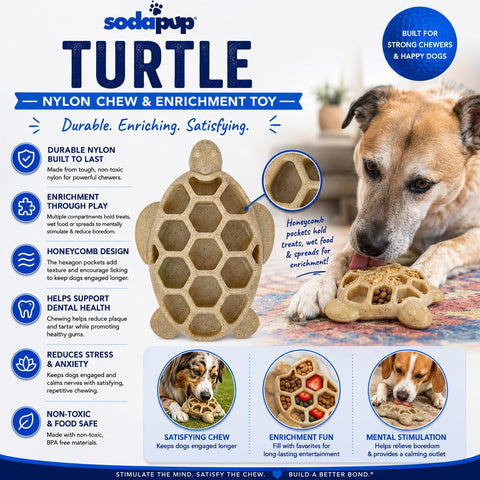 Turtle-Shaped Durable Nylon Dog Chew Toy – Safe Enrichment for 15-80 Lbs | Made in USA SodaPup  Nylon Dog Toys