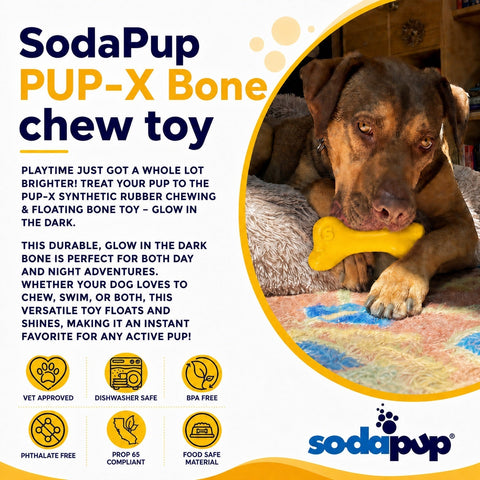 PUP-X Glow in the Dark Synthetic Rubber Dog Bone Toy – Durable Chew & Floating Toy | Made in USA SodaPup  Rubber Dog Toys