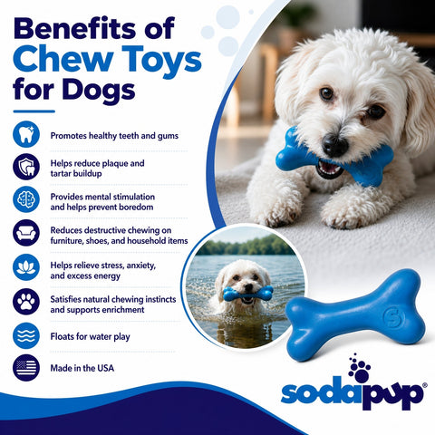 PUP-X Glow in the Dark Synthetic Rubber Dog Bone Toy – Durable Chew & Floating Toy | Made in USA SodaPup  Rubber Dog Toys