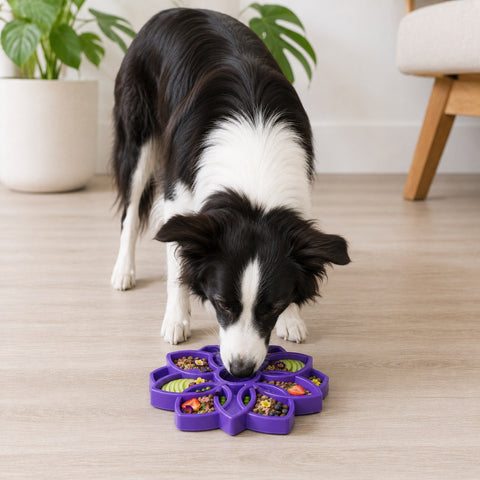 Mandala Design Dog Enrichment Slow Feeder Tray – Interactive Lick Mat | Made in USA SodaPup  ETRAY