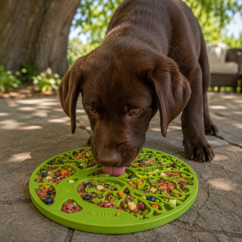 Tree of Life Enrichment Lick Mat for Dogs – Suction Cup Feeder | Made in USA SodaPup  EMAT
